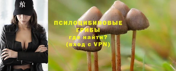 соль курить ск Нея
