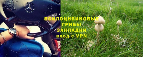 стаф Нефтекумск