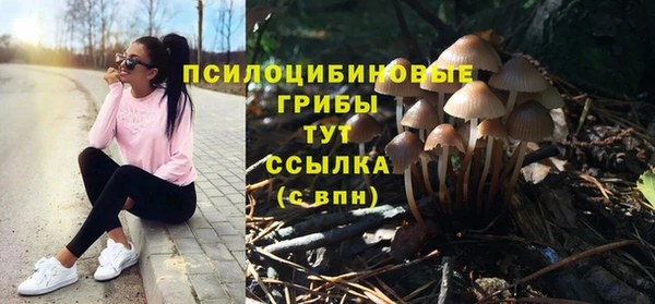 соль курить ск Апатиты