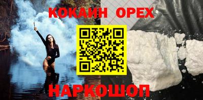 apvp Гатчина