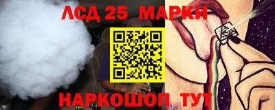 apvp Гатчина