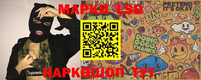 apvp Гатчина