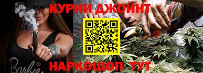 apvp Гатчина
