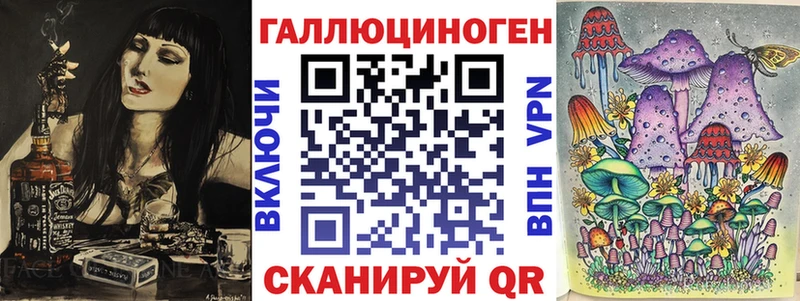 мега   где продают наркотики  Новомосковск  Галлюциногенные грибы Psilocybine cubensis 