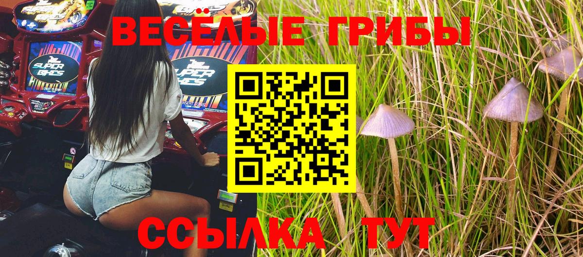 Новомосковск  Псилоцибиновые грибы MAGIC MUSHROOMS  где можно купить   Вход с VPN 