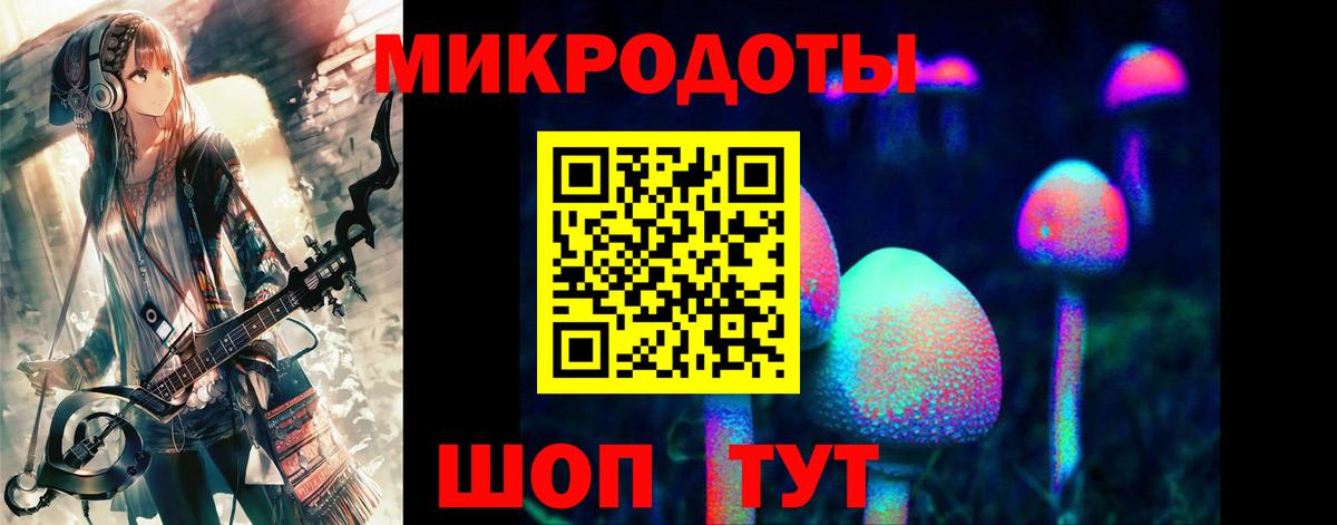 Галлюциногенные грибы Cubensis Новомосковск